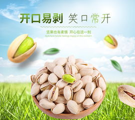 食品机械设备 现代食品工业的智能引擎