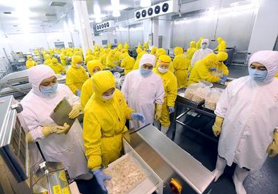 河南强化出口禽肉全过程质量监督，以电子化监管模式提升食品安全水平